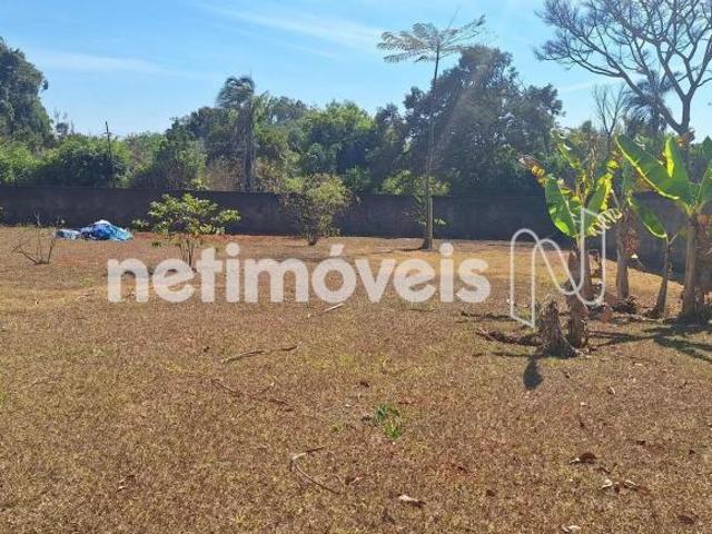 Terreno venda em Park Way Quadra 23, Park Way