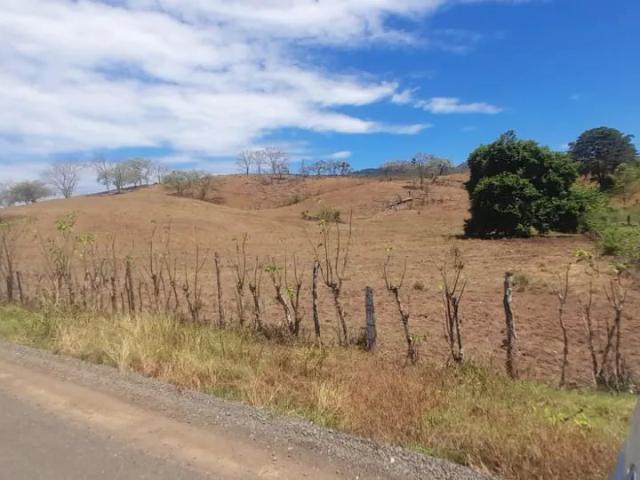 Terreno venta en Tonosí, Los Santos