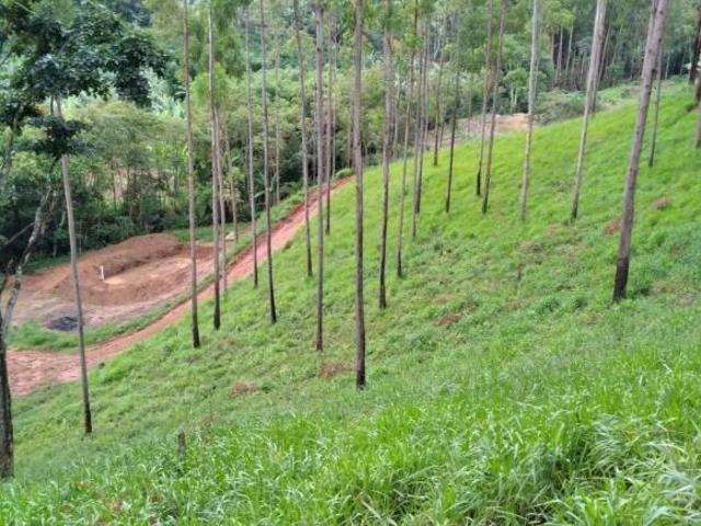 Terreno venda em Dom Viçoso, Região Geográfica Intermediária de Pouso Alegre