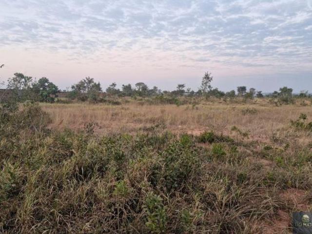 Sítio e chácara venda em Região Geográfica Imediata de Campo Grande, Campo Grande