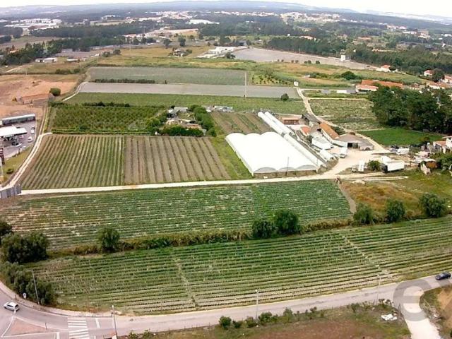 Terreno venda em Nossa Senhora do Pópulo, Coto e São Gregório, Caldas da Rainha