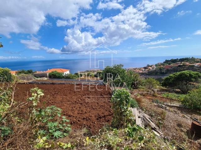 Terreno venda em Santa Cruz, Ilha Da Madeira