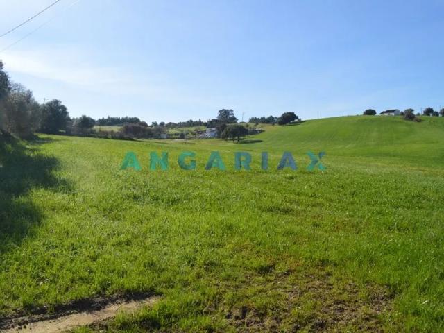 Terreno venda em Azambuja, Lisboa