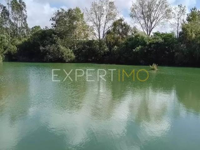 Terreno venda em Burinhosa, Alcobaça