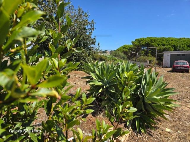 Terreno venda em Visconde da Luz, Cascais