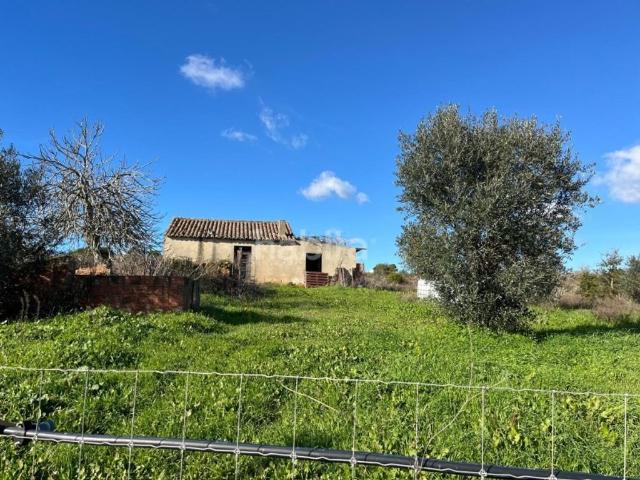 Terreno venda em Cercal, Santiago Do Cacém