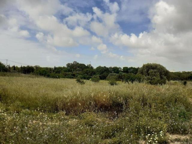 Terreno venda em Tavira, Faro