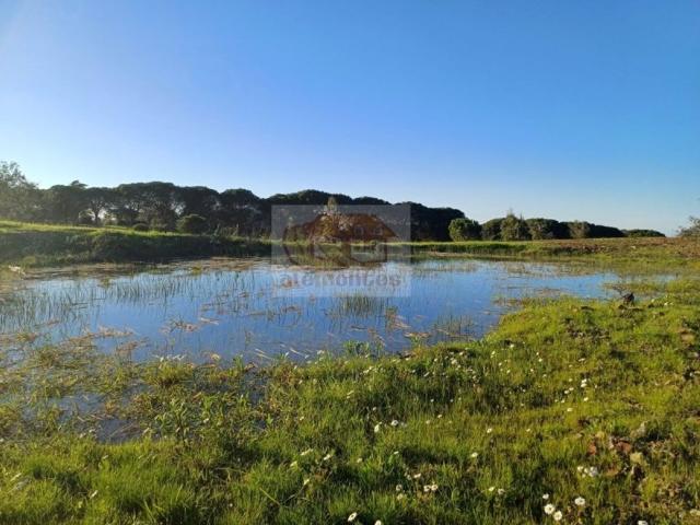Terreno venda em Grândola, Setúbal