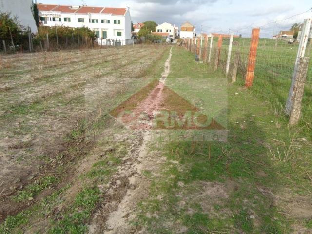Terreno venda em Alcochete, Setúbal