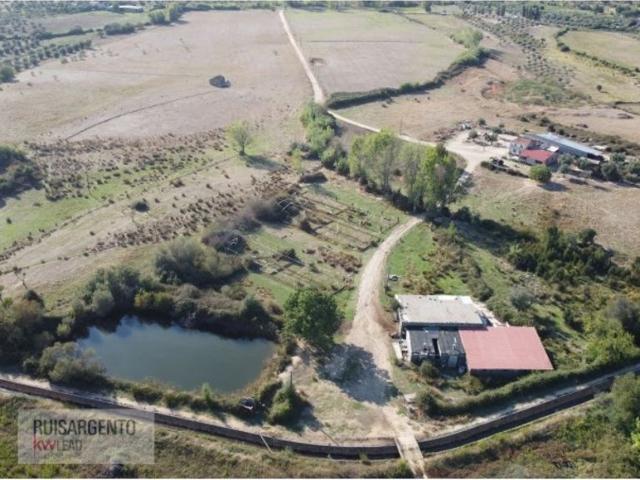 Terreno venda em Castelo Branco, Idanha-a-nova
