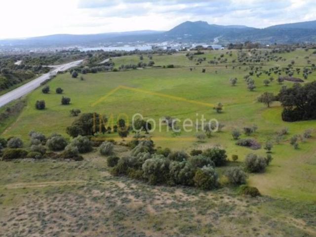 Terreno venda em Liteiros, Torres Novas