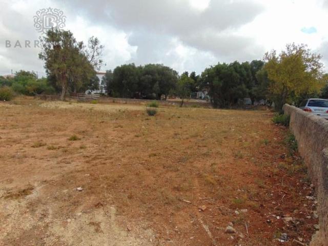 Terreno venda em Areias de Almansil, Loulé