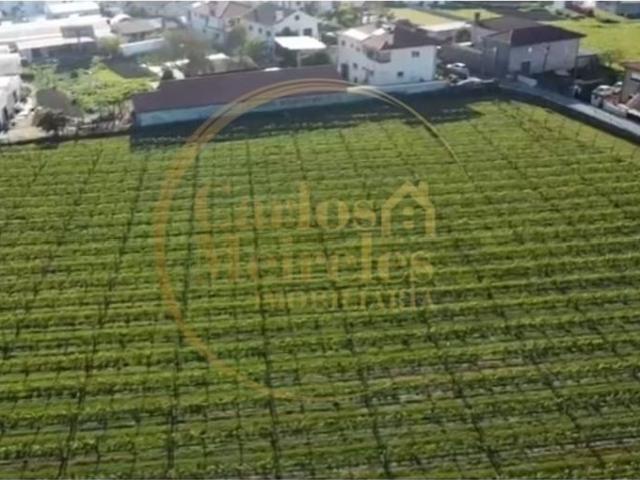 Terreno venda em Arcozelo, Braga