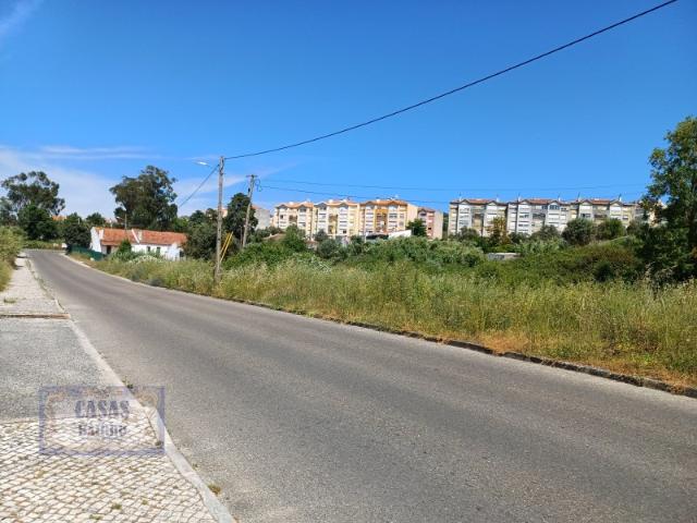 Terreno venda em Santarém