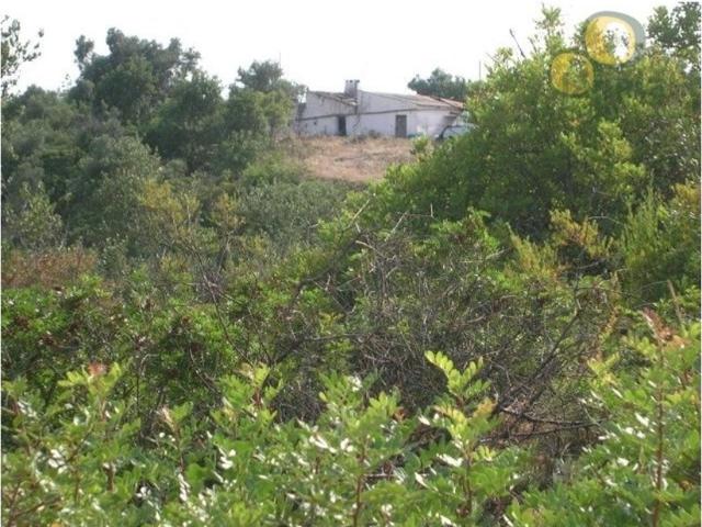 Terreno venda em Faro