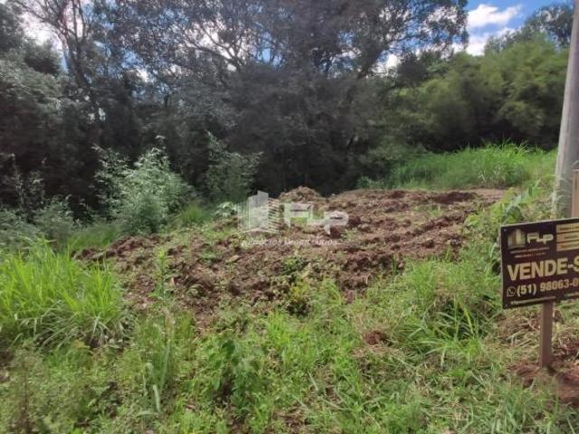 Terreno venda em Região Geográfica Imediata de Caxias do Sul, Feliz
