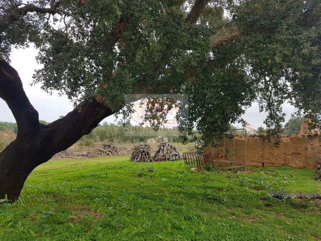 Terreno venda em Pinheiro da Chave, Grândola