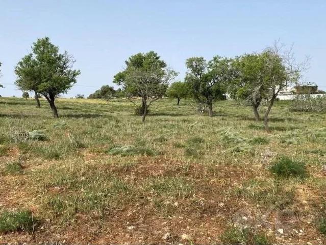 Terreno venda em Olhão, Faro