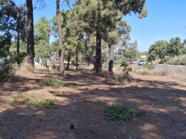 Terreno venda em Azeitão (São Lourenço e São Simão), Setúbal