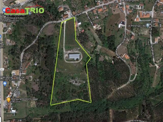 Terreno venda em Pombal, Leiria