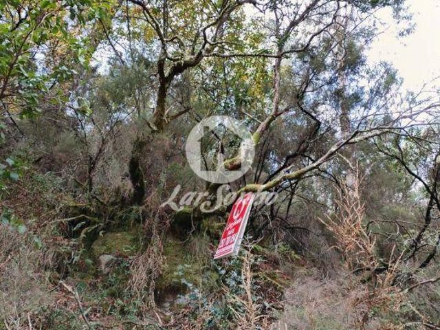 Terreno venda em Covas, Braga