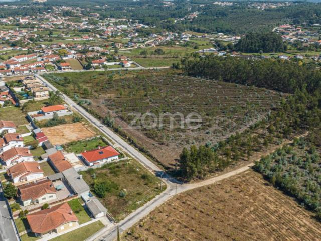 Terreno venda em Nespereira de Baixo, Oliveira De Azeméis