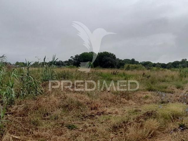 Terreno venda em Azambuja, Lisboa