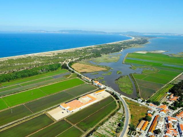 Terreno venda em Alcácer Do Sal, Setúbal