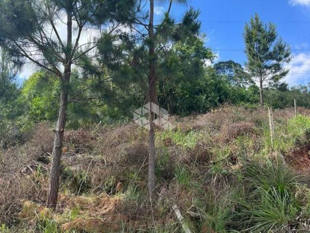 Terreno venda em Região Geográfica Imediata de Caxias do Sul, Caxias do Sul