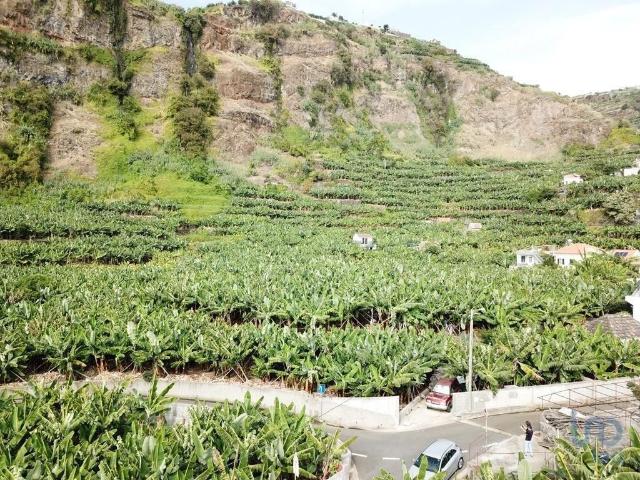 Terreno venda em Ponta Do Sol