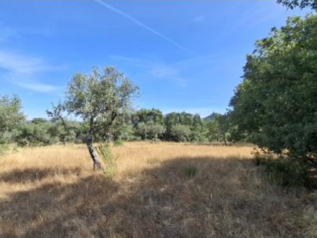 Terreno venda em Castelo Branco, Penamacor