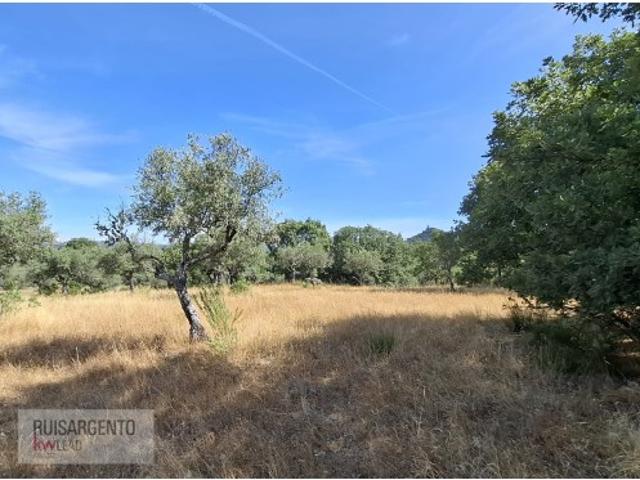 Terreno venda em Castelo Branco, Penamacor