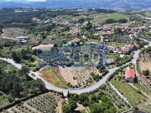 Terreno venda em Vila Real