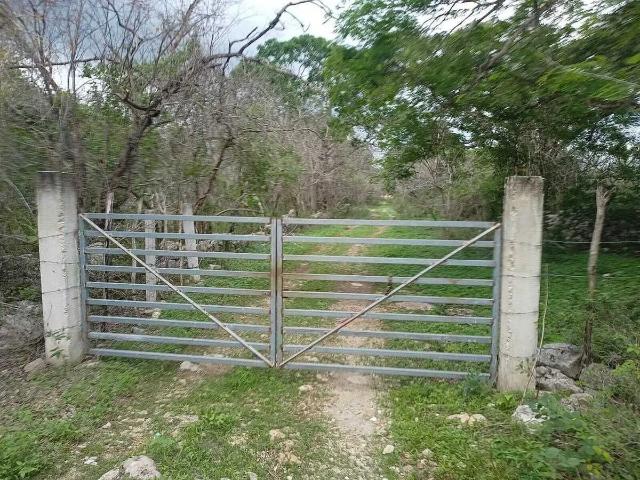 Terreno en venta en Kinchil, Yucatán