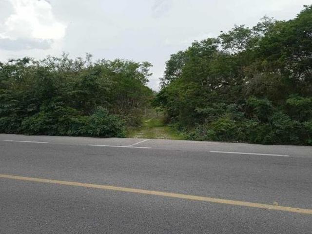 Terreno de 3.4 Hectáreas sobre Carretera Tetiz Celestun