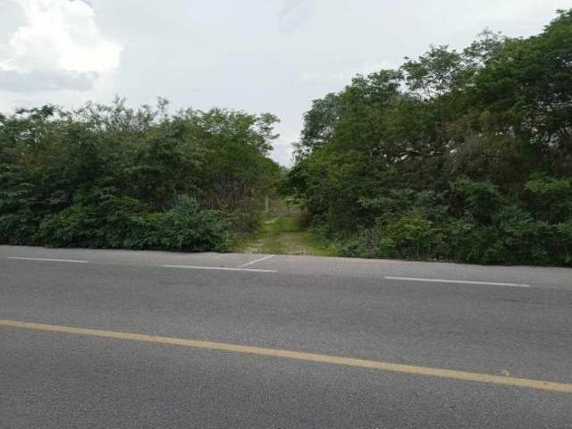 Terreno de 3.4 Hectáreas sobre Carretera Tetiz Celestun