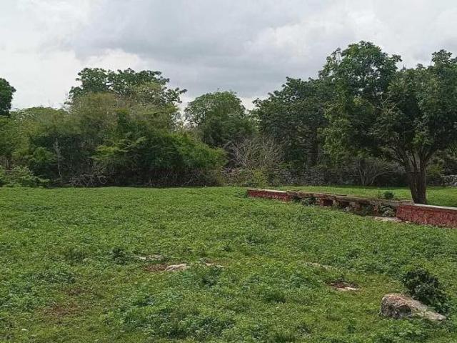 Terreno de 3.4 Hectáreas sobre Carretera Tetiz Celestun