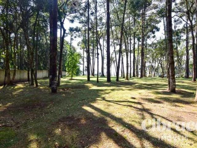 Terreno venda em Região Geográfica Imediata de Curitiba, Região Metropolitana de Curitiba
