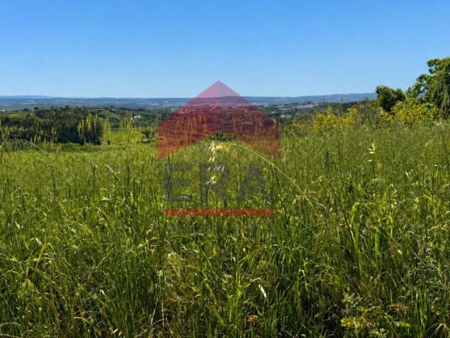 Terreno venda em Casal Queijo, Bombarral