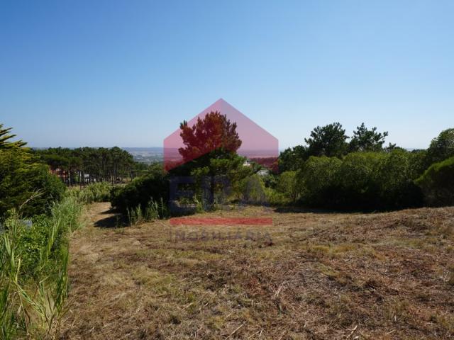 Terreno venda em Serra dos Mangues, Alcobaça