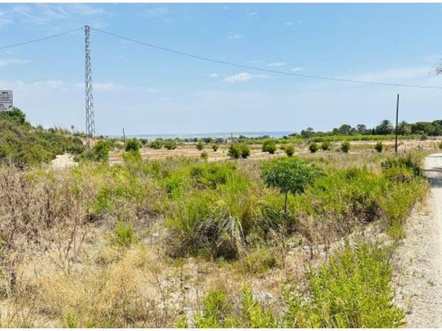 Local Comercial en venta en la Marina, el Baix Vinalopó