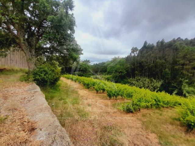Terreno venda em Caldas Da Rainha, Leiria