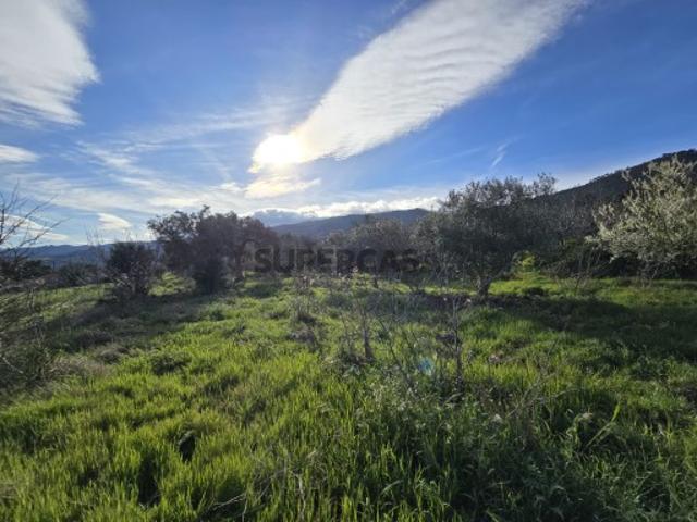 Terreno venda em Castelo Branco, Aldeia Nova Do Cabo