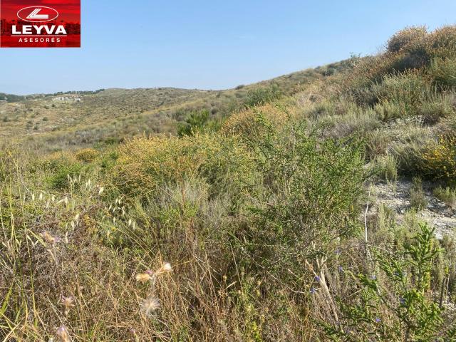 Terreno en venta en Santa Teresa, Fuente Álamo de Murcia
