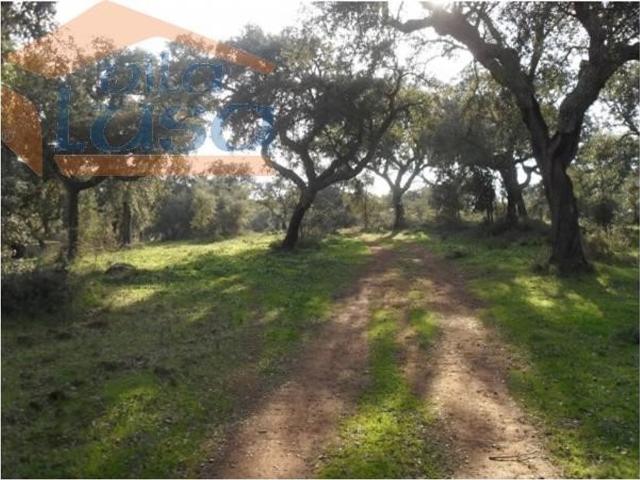 Terreno venda em Ferreira Do Alentejo, Beja