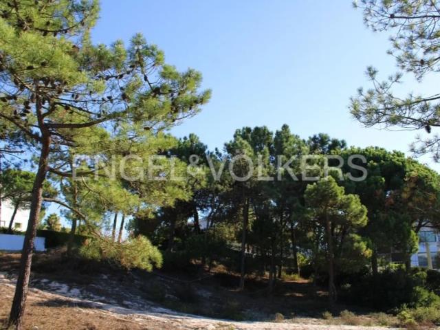 Terreno venda em Grândola, Setúbal