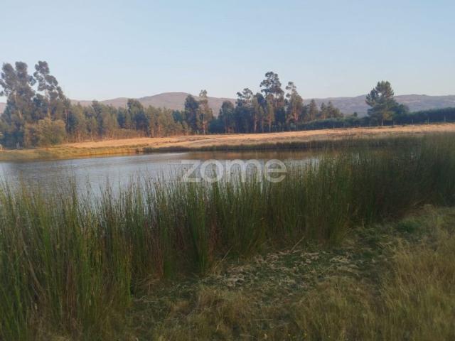 Terreno venda em Guarda, Seia