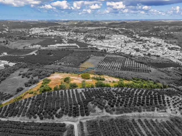 Terreno venda em Silves, Faro