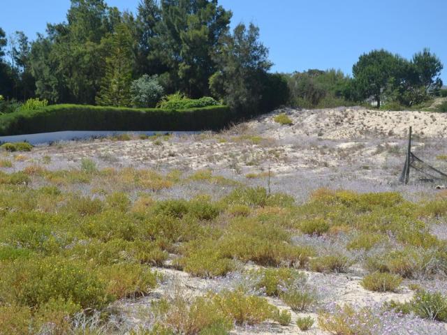 Terreno venda em Grândola, Setúbal