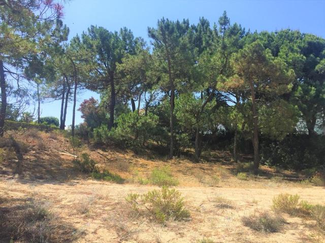 Terreno venda em Grândola, Setúbal
